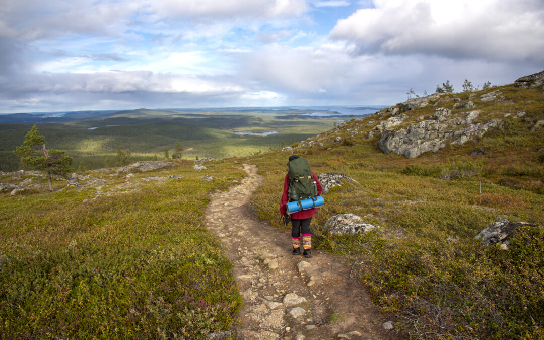 Work and Travel-medarbetare sökes